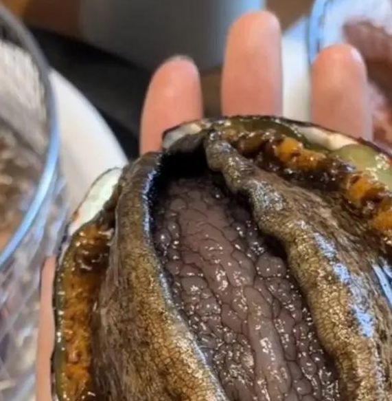 鲍鱼视频迟迟没有进行改变，网友：已等不及了