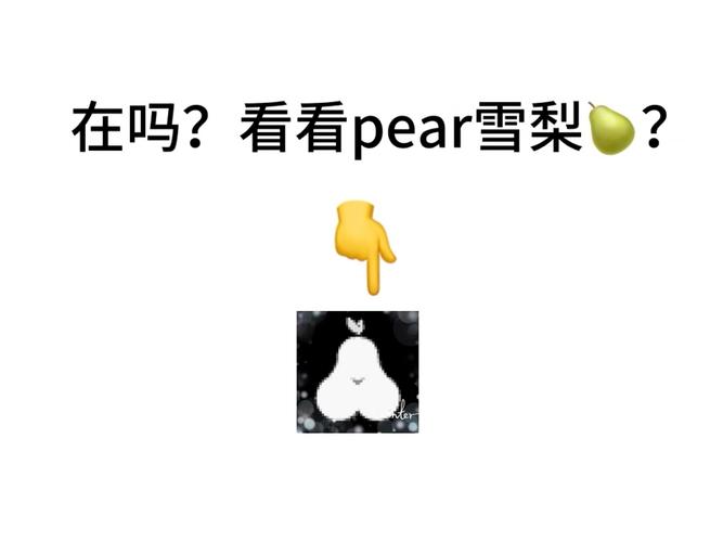 pear雪梨最新版广告内容全部去除，网友：界面更加纯净了！