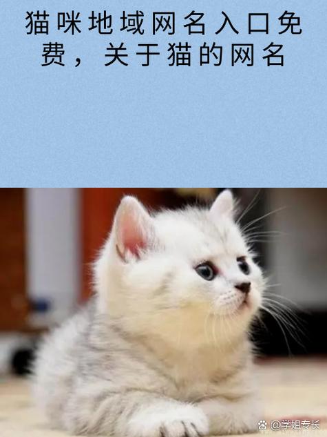 新版猫咪目前的地址2022V5.8.5_新版猫咪目前的地址2022 新版猫咪目前的地址2022V5.8.5_新版猫咪目前的地址2022