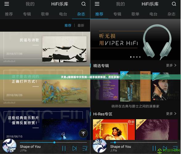 在线天堂中文www官网,内置海量资源的影视播放应用
