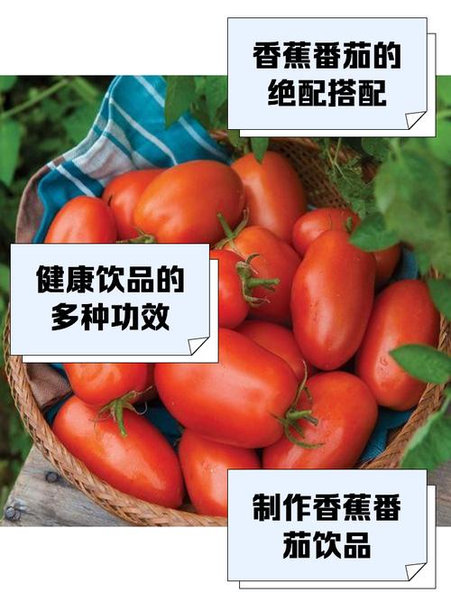 香蕉草莓丝瓜茄子番茄appV2.8.6_香蕉草莓丝瓜茄子番茄app