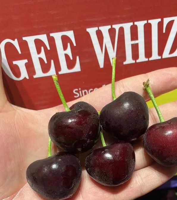 国产精品樱桃视频入口黑人,非常流行的视频播放软件 国产精品樱桃视频入口黑人,非常流行的视频播放软件