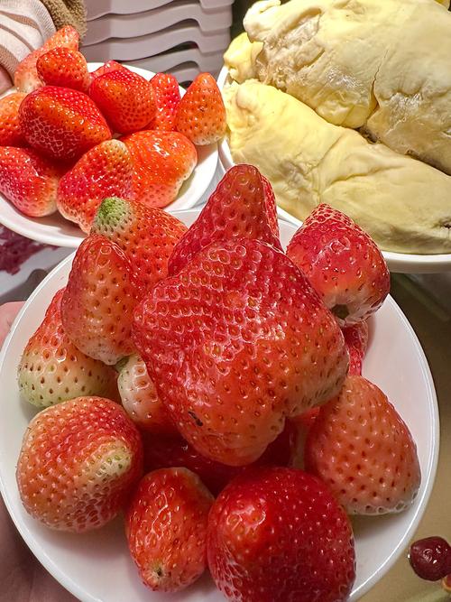 幸福宝草莓榴莲手机版V8.5.5_幸福宝草莓榴莲应用下载