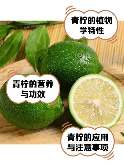 青柠视频1.0.4免费版,优质的影视观看软件