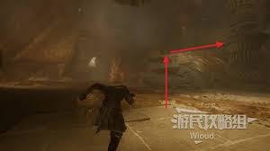 光与影33远征队中，织人刺的获得方式揭示-探寻光与影33号远征队织人刺的获取途径