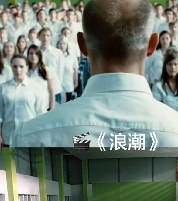 浪潮视频最新在线观看手机版V6.4.5_浪潮视频最新在线观看应用