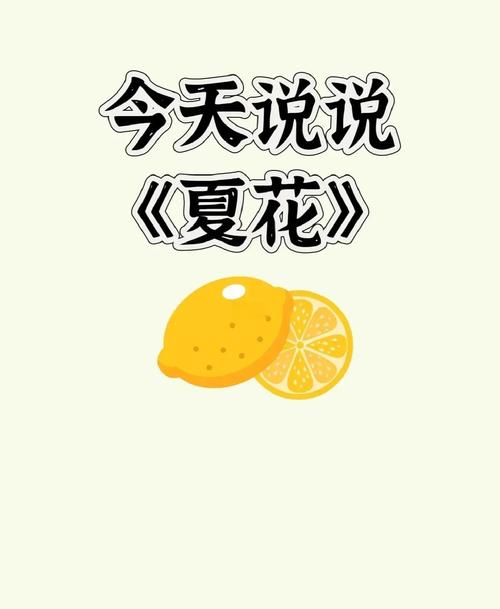 夏花直播平台下载最新版V7.4.5_夏花直播平台下载安装下载