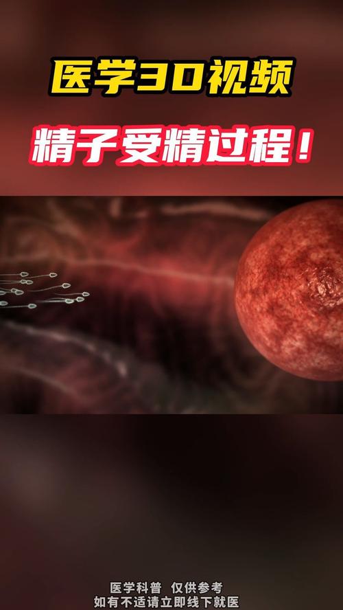 精子喷在脸上私人视频,好用手机屏幕录制软件