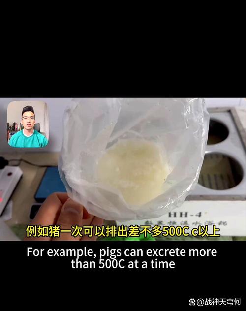 精子喷在脸上私人视频,好用手机屏幕录制软件