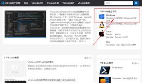 VSCode如何快速添加快捷键扩展-详细指南：在VSCode中安装和配置快捷键扩展的方法