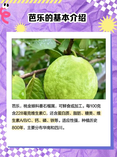 榴莲芭乐app福引导被黑客入侵破解，网友：真厉害！