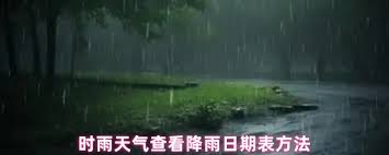 在阴雨绵绵的天气条件下，如何快速定位并查阅日期表格 - 时雨天气应用中的日期查看方法揭秘