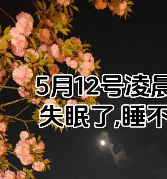 晚上一个人睡不着在线看简直是太给力了，网友：确实