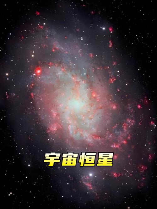 恒星视频,超级好用的影视直播观看软件