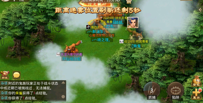 关于问道手游青丘逐兔活动的详细攻略，如何高效完成此限时趣味任务？