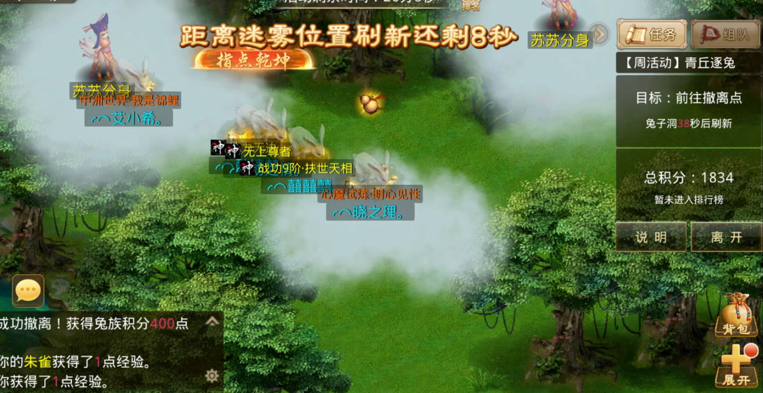 关于问道手游青丘逐兔活动的详细攻略，如何高效完成此限时趣味任务？