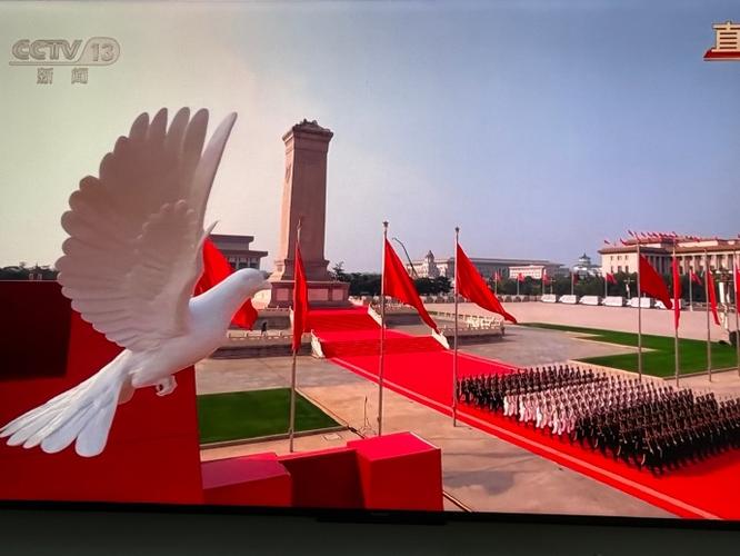 2020大阅兵直播最新版V5.6.4_2020大阅兵直播应用下载