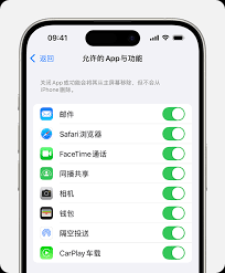 如何设定iPad的家长控制功能——详细操作指南与方法