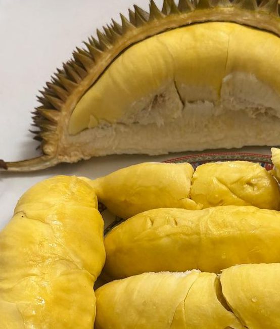 榴莲视频让你流连忘返2.0无限资源,看剧追剧掌上神器