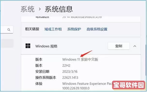 如何检测Windows 10操作系统的版本详细指南