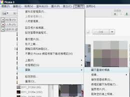 如何去除Picasa中的重复图片——Picasa重复照片清理指南
