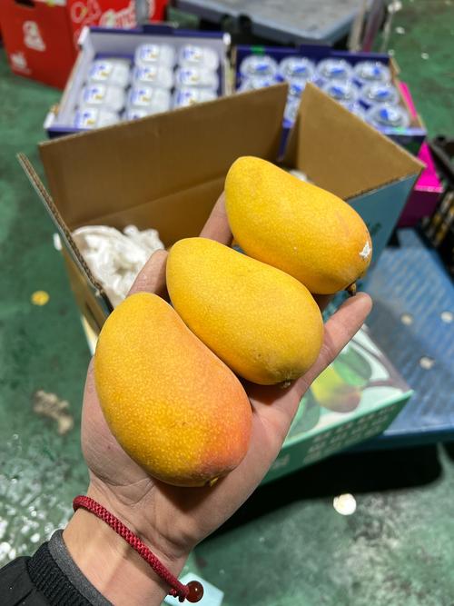 大香煮芒果,一款趣味十足的视频播放软件 大香煮芒果,一款趣味十足的视频播放软件