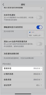 关于Lark语音消息无声的问题及其原因分析 关于Lark语音消息无声的问题及其原因分析