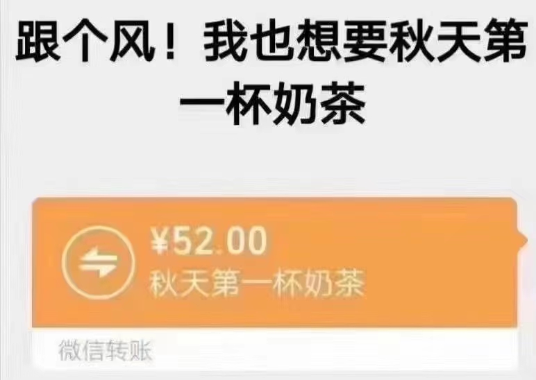 关于秋日首杯奶茶的表情包全集——52元系列表情包的汇总分享