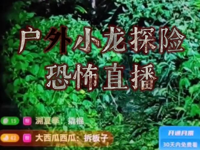 千度户外小龙探险直播手机版V4.1.3_千度户外小龙探险直播最新版