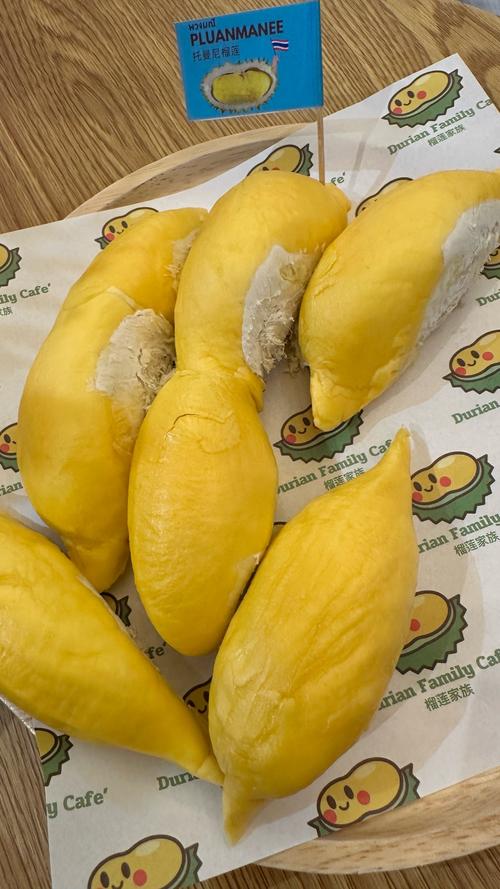 榴莲无限永久下载手机版V1.1.4_榴莲无限永久下载应用