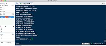 FinalShell界面出现中文乱码的解决方案详解-如何处理FinalShell软件中的中文显示异常