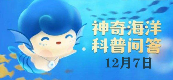 红树林中栖息着大量螃蟹，它们之间的关系是——  

