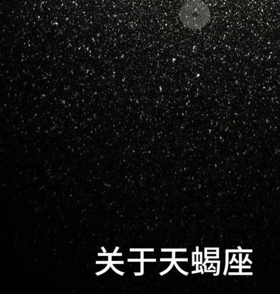 天蝎座直播提供最全服务，网友：确实好用！