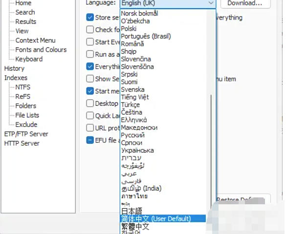 关于如何将EveryThing设置为中文——详细的操作步骤指南