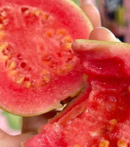 榴莲香蕉草莓向日葵芭乐手机版V3.4.3_榴莲香蕉草莓向日葵芭乐应用