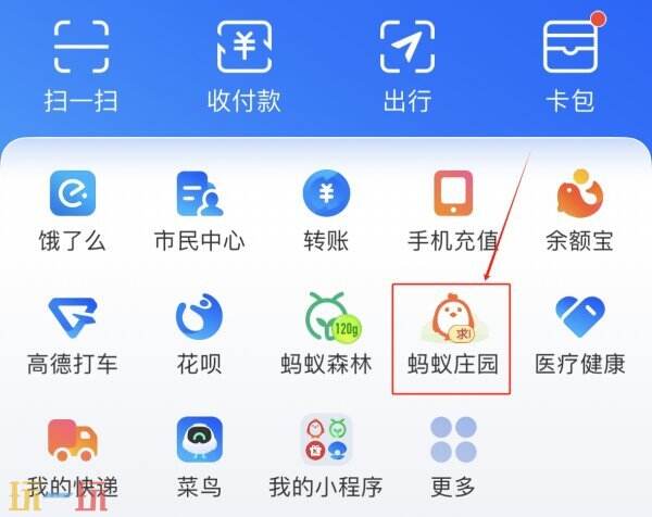 为何在寒冬季节容易出现饥饿感？蚂蚁庄园11月28日答题解析