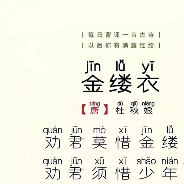 金缕衣txt被网友大赞给力，网友：永久免费