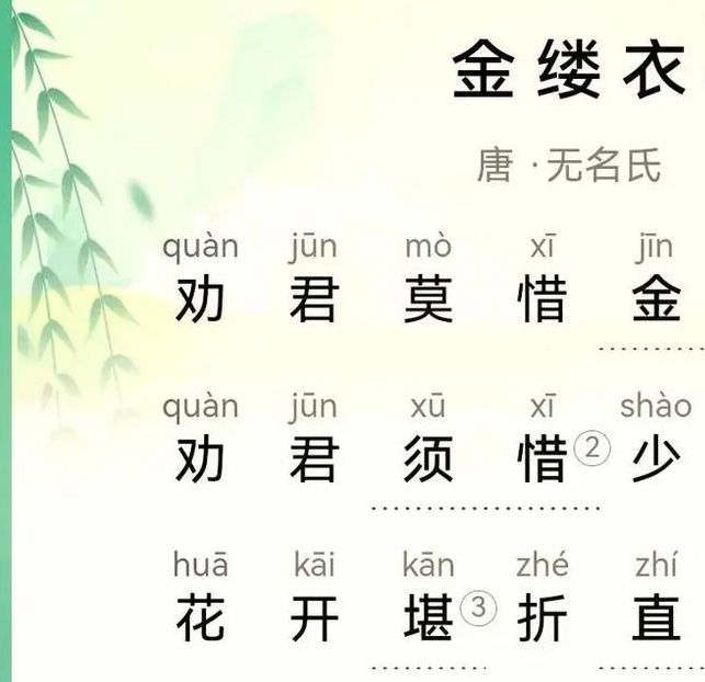 金缕衣txt被网友大赞给力，网友：永久免费