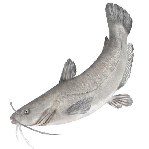 万圣节的激情狂欢与钓鱼乐趣在《钓鱼大对决》中“马达加斯加”区域盛情开启！