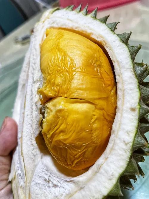 榴莲combo3.0深夜释放自己ios优质精选片源,网友:内容精彩给力 榴莲combo3.0深夜释放自己ios优质精选片源,网友:内容精彩给力