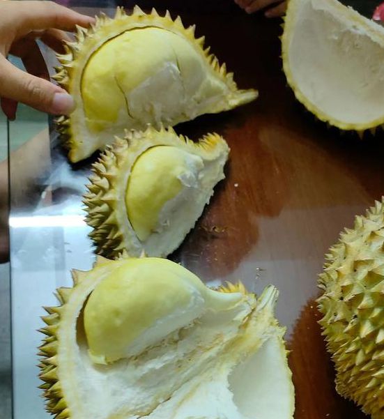 榴莲combo3.0深夜释放自己ios优质精选片源,网友:内容精彩给力 榴莲combo3.0深夜释放自己ios优质精选片源,网友:内容精彩给力