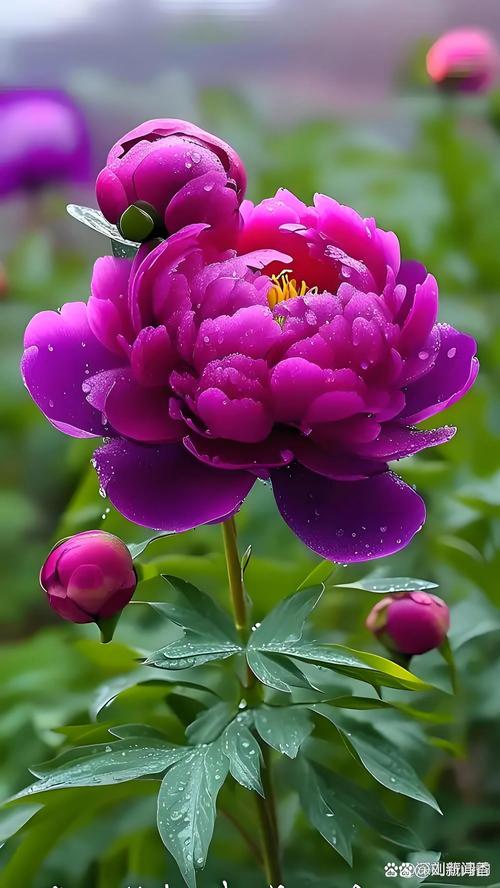 国色天香www在线观看代入感极强,网友:身临其境 国色天香www在线观看代入感极强,网友:身临其境