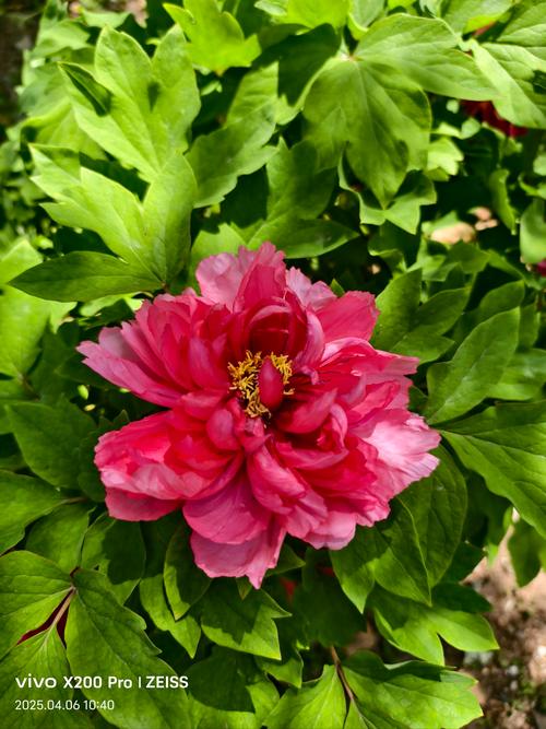 国色天香www在线观看代入感极强,网友:身临其境 国色天香www在线观看代入感极强,网友:身临其境