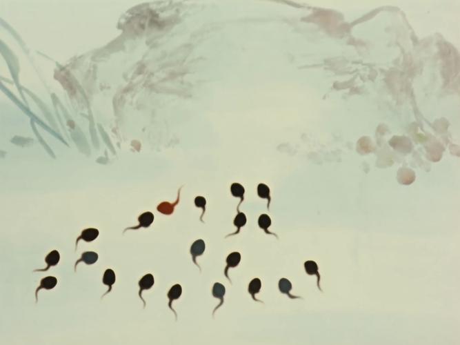 小蝌蚪视频(免费下载)APPV8.5.6_小蝌蚪视频(免费下载)安装下载