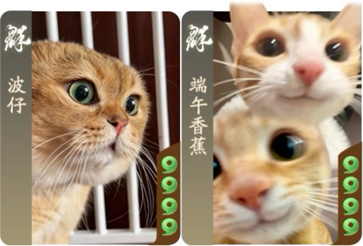 《三国杀：一将成名》周年盛典即将开启，创新玩法、新增福利等待你的挑战！

