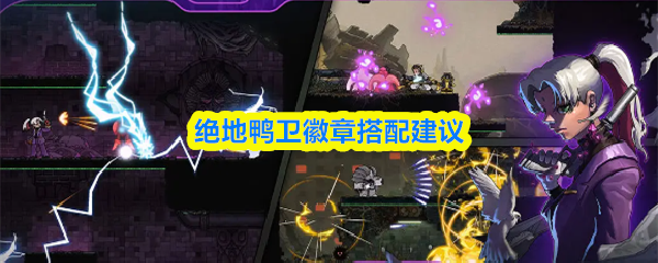 关于绝地鸭卫徽章的搭配推荐