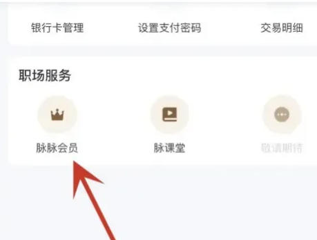 想知道如何成为脉脉的会员?-详解脉脉开启会员的详细步骤 想知道如何成为脉脉的会员?-详解脉脉开启会员的详细步骤