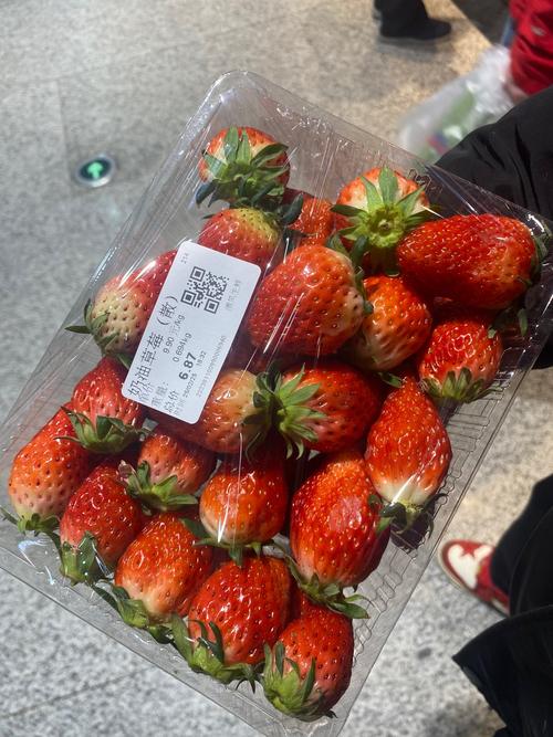 草莓combo2.0手机版V3.9.9_草莓combo2.0安装 草莓combo2.0手机版V3.9.9_草莓combo2.0安装