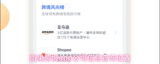 关于雨果跨境应用中查询公司详细资料的具体位置 关于雨果跨境应用中查询公司详细资料的具体位置