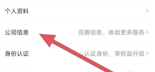 关于雨果跨境应用中查询公司详细资料的具体位置 关于雨果跨境应用中查询公司详细资料的具体位置